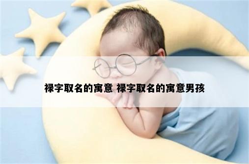 禄字取名的寓意 禄字取名的寓意男孩