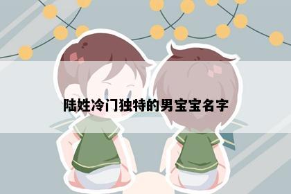 陆姓冷门独特的男宝宝名字