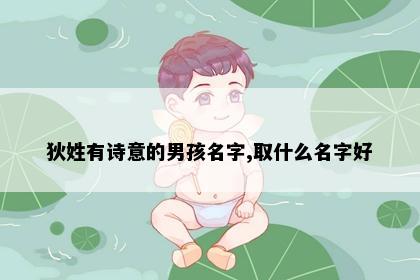 狄姓有诗意的男孩名字,取什么名字好