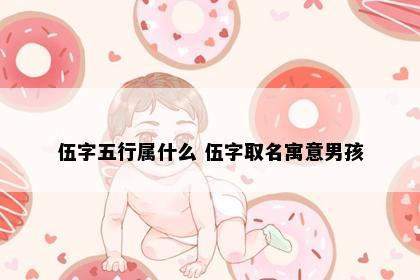伍字五行属什么 伍字取名寓意男孩