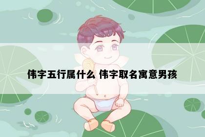 伟字五行属什么 伟字取名寓意男孩