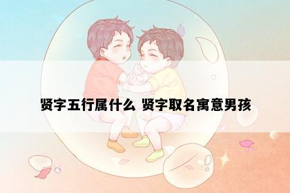 贤字五行属什么 贤字取名寓意男孩