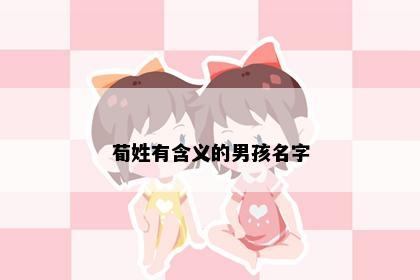 荀姓有含义的男孩名字