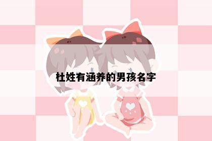 杜姓有涵养的男孩名字