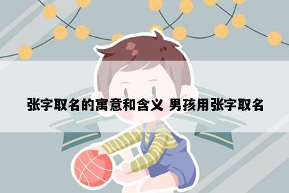 张字取名的寓意和含义 男孩用张字取名