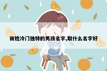 田姓冷门独特的男孩名字,取什么名字好